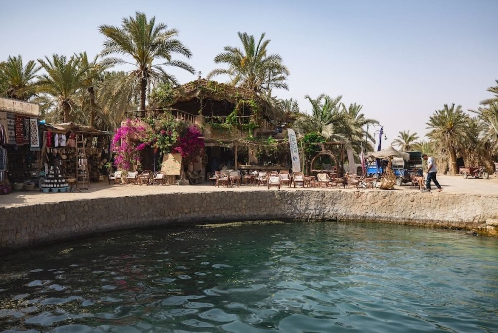 A tranquil scene at a palm-fringed saltwater pool in Siwa Oasis, with rustic shops and cafes adorned with vibrant bougainvillea.