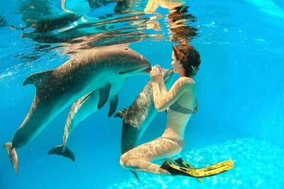 dolphin full day snorkeling tour from hurghada