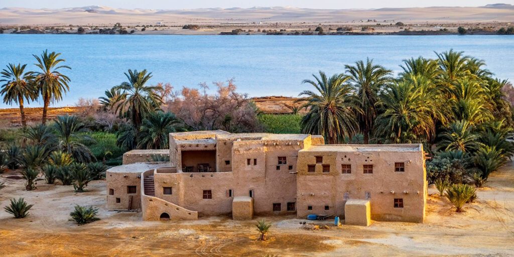 Discover Siwa Oasis