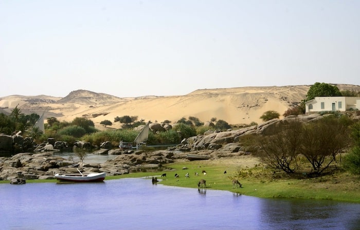 Calm scene along the River Nile with a boat, grazing animals, and a sand dune backdrop.