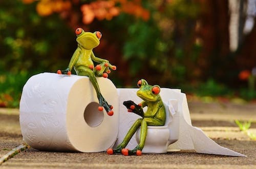 A humorous depiction of two frogs with one sitting on a roll of toilet paper and the other looking on