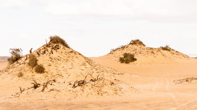 "Two sand dunes with sparse vegetation under a hazy sky in a desert landscape."