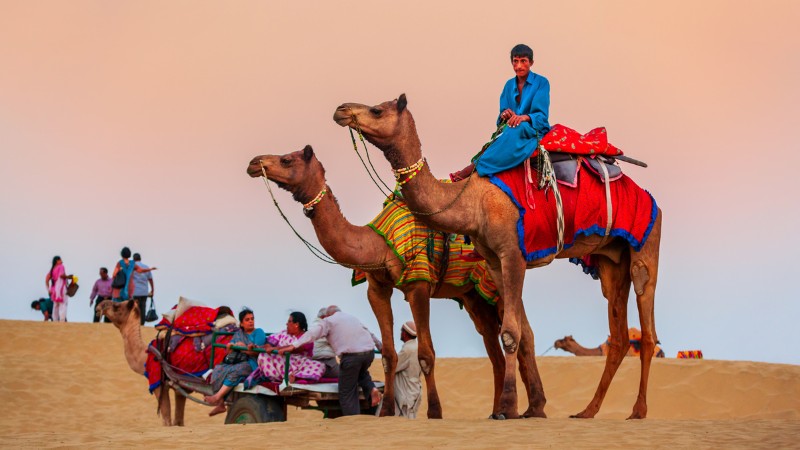 A person riding a decorated camel with a camel-drawn cart carrying passengers in the background of a sandy desert at dusk.