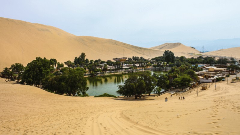 "A lush oasis with greenery and a lake juxtaposed against vast sand dunes under a hazy sky."