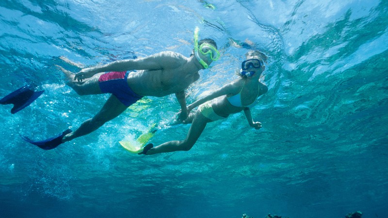 "Two people snorkeling in clear blue waters, one in a white swimsuit and the other in purple swim trunks, both wearing fins and snorkels."