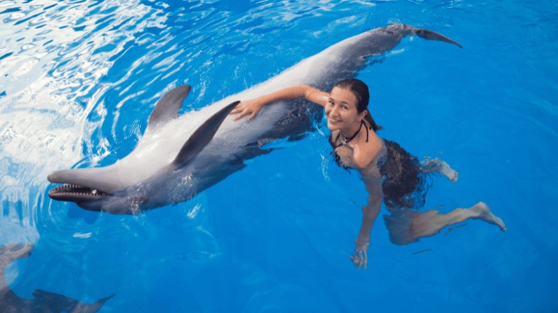 A woman smiling while swimming alongside a dolphin in a clear blue pool.