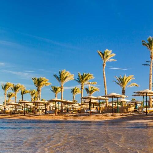Palm trees lining a tranquil beach resort with straw-covered sunshades and a clear blue sky