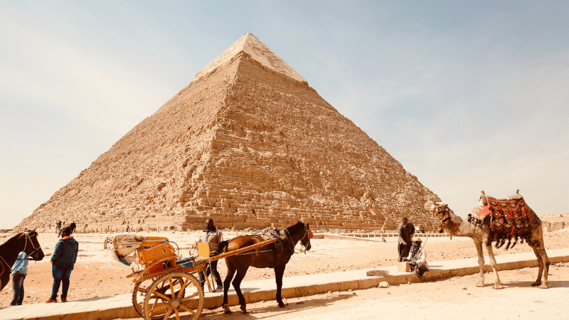 Horse-drawn carriage and camels in front of the Great Pyramid of Giza