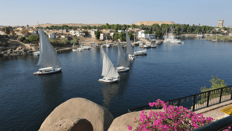 Traditional feluccas sailing on the Nile River near Aswan with a backdrop of the city.