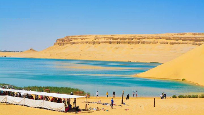 Vibrant blue waters of an oasis surrounded by golden sand dunes and a clear blue sky