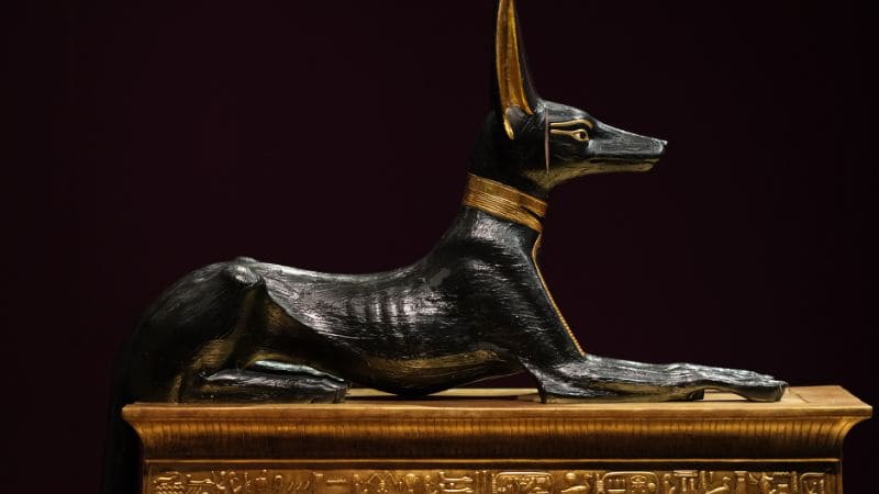 Anubis statue in black and gold.