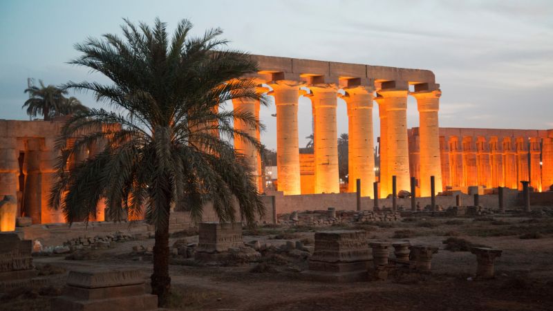 "The Luxor Temple illuminated at night with a palm tree in the foreground."