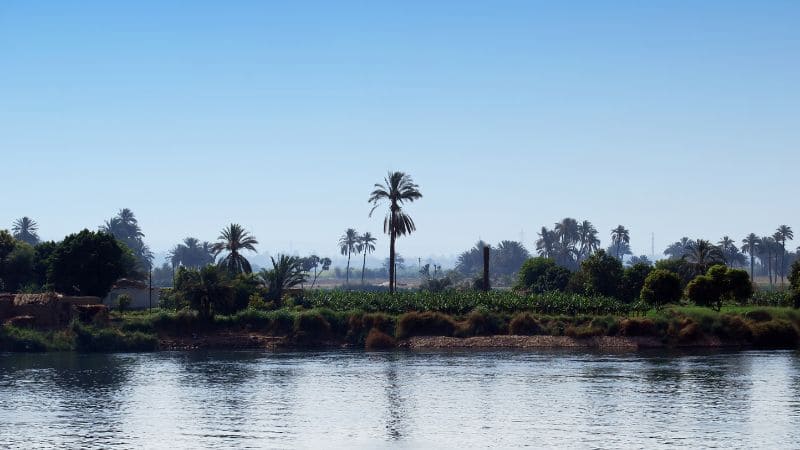 View of the Nile River with lush greenery on the banks under a clear sky.