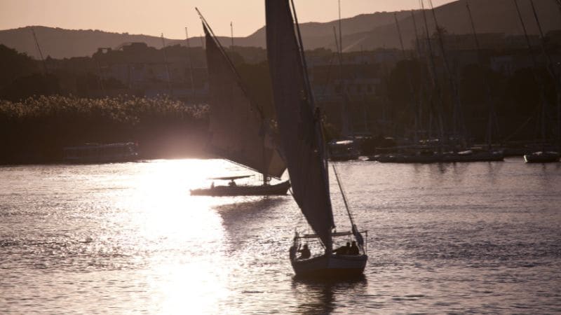 "Silhouetted feluccas sailing on the Nile at sunset."