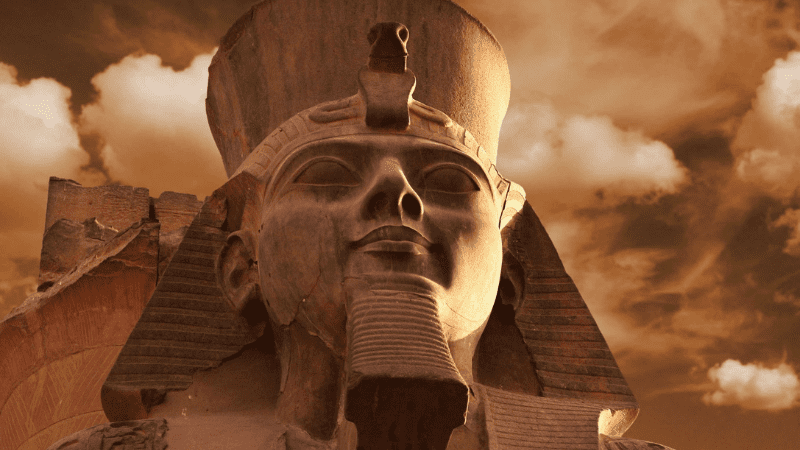 Close-up of the Great Sphinx of Giza at sunset.