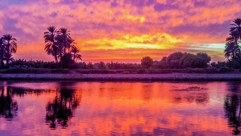 A vivid sunset over the Nile with palm tree silhouettes reflecting in the water.