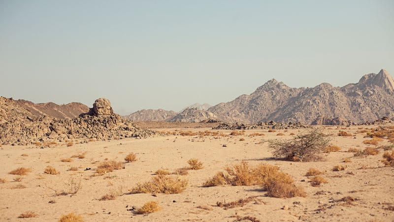 "Desert landscape with sparse vegetation and rugged mountains."