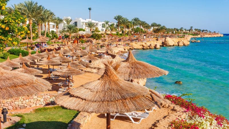 A picturesque beach resort in Egypt, with thatched umbrellas and vibrant flowers by the sea.