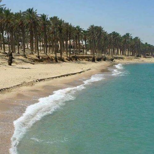 Discover the Hidden Gems of Al-Arish: A Tourist's Guide - Outdoor Adventures and Recreational Activities