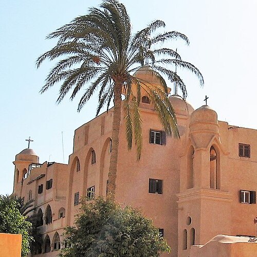 Image of the beige walls and rounded domes of Deir as-Suriani monastery under a clear blue sky, with a palm tree in the foreground
