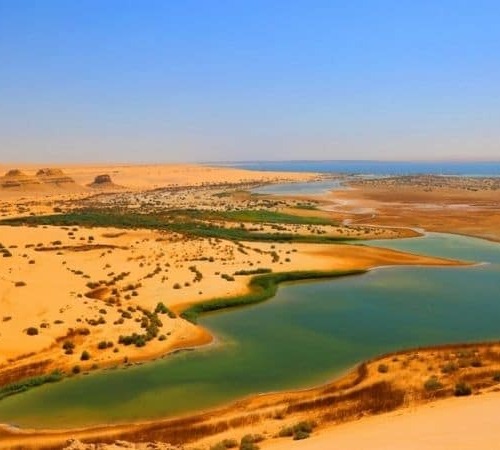 An expansive desert oasis with lush greenery and a large body of water amidst golden sands.