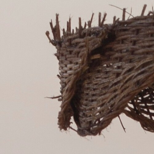 Close-up of the frayed edge of a woven wicker structure against a plain background.