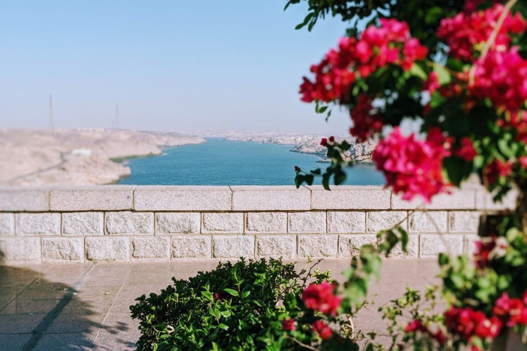 Vibrant pink flowers in the foreground overlooking the expansive view of the Aswan High Dam reservoir.