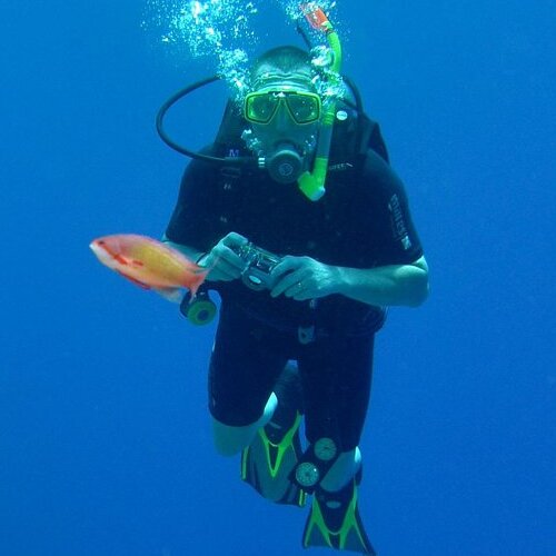 Scuba diver underwater with a colorful toy fish and a camera.