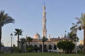 Image of a mosque with a towering minaret and a dome, surrounded by palm trees