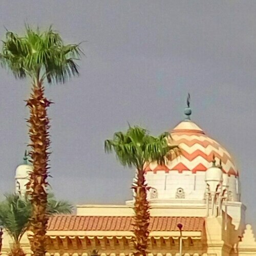 A dome of a mosque adorned with a geometric pattern in red and orange tones flanked by two palm trees against a clear sky