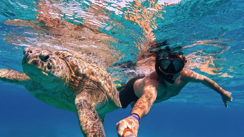 Snorkeler swimming next to a sea turtle in clear blue water.