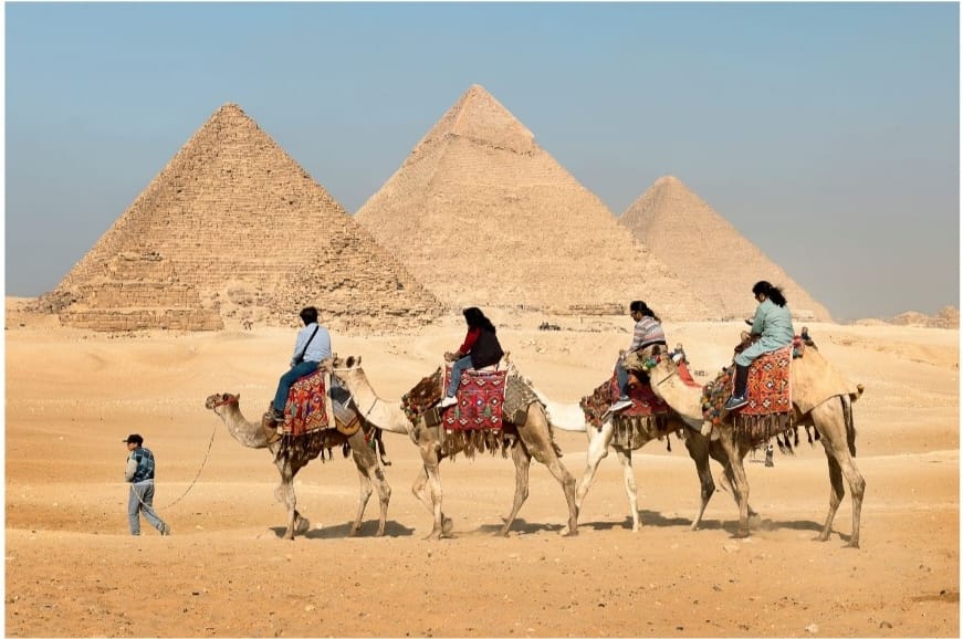 A line of decorated camels led by guides in front of the Pyramids of Giza, under a clear blue sky