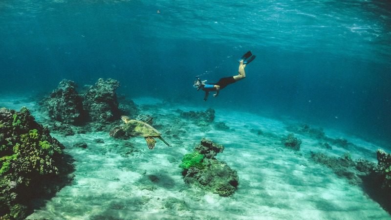 Snorkeler swims alongside a sea turtle over a coral reef in the crystal-clear waters of the Red Sea