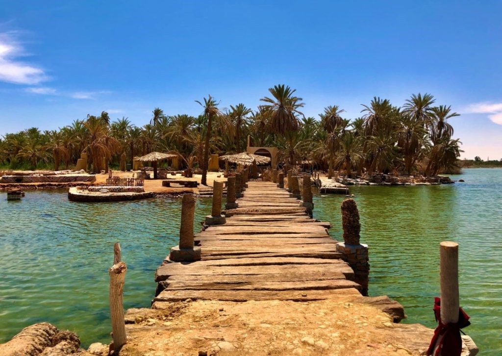 A rustic wooden boardwalk leading through a tranquil oasis surrounded by lush palm trees and clear blue waters in Siwa, EgyptThis image captures a serene oasis in Siwa, featuring a rustic wooden pathway that meanders through vibrant palm trees and inviting azure waters, reflecting a perfect blend of natural beauty and peaceful solitude.