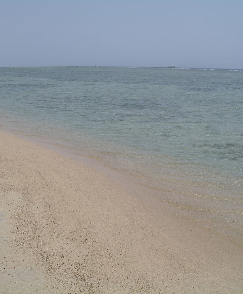 Serene beach with clear blue water and soft sandy shore