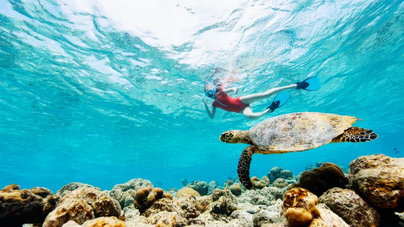 A snorkeler floats near a sea turtle over a coral reef under shimmering water.