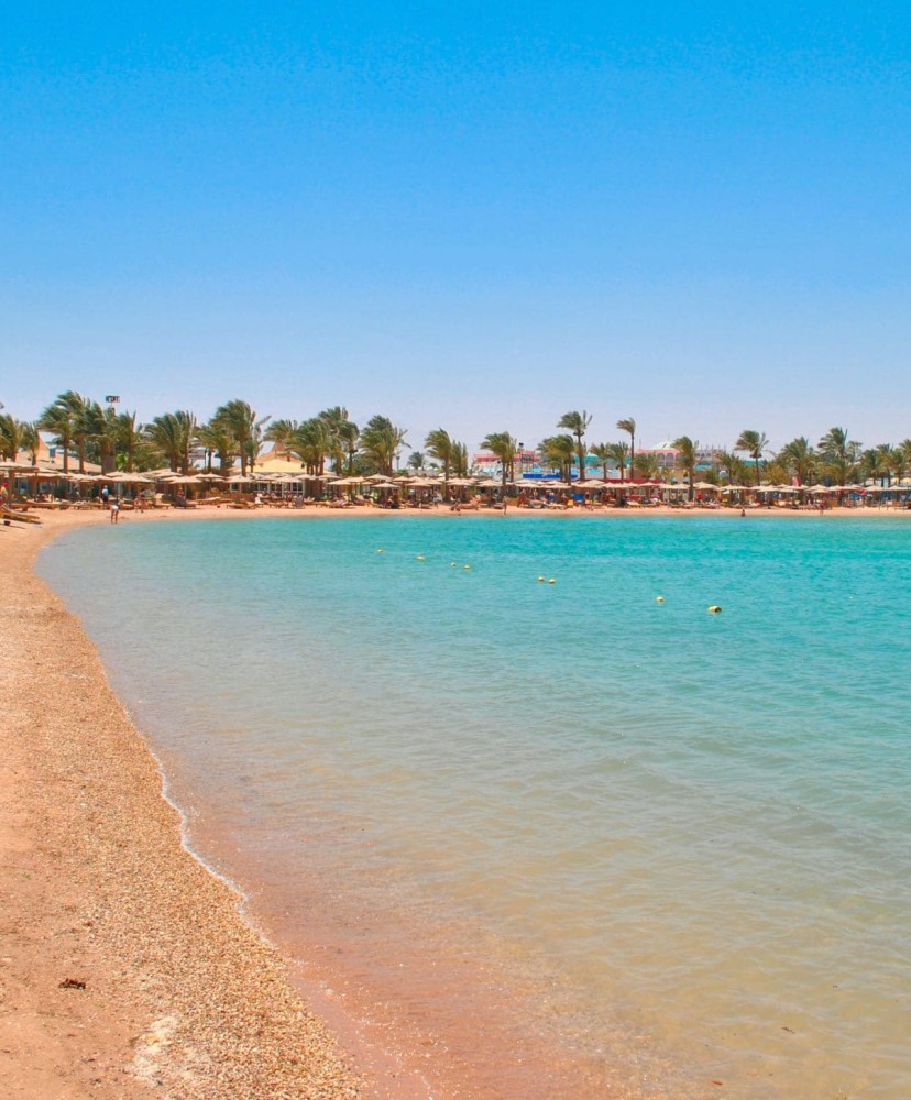 Pristine beach with clear blue waters and palm trees in Sharm El Sheikh