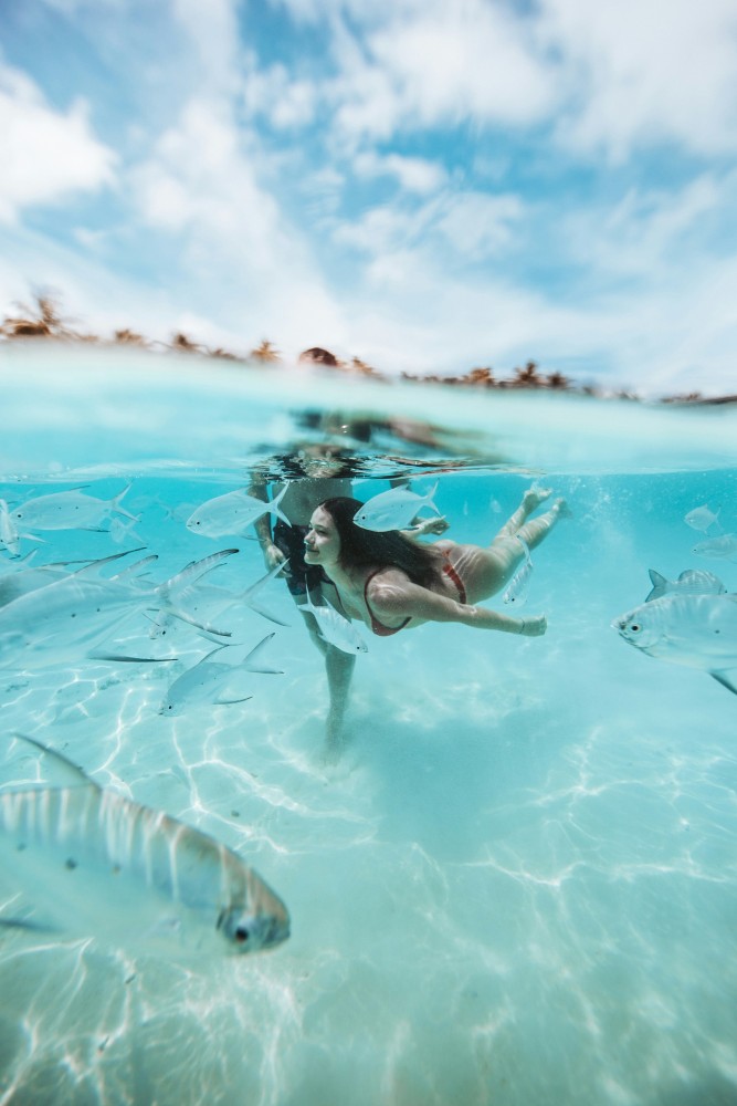 A woman snorkeling in shallow turquoise waters surrounded by a shoal of silver fish under a sunny sky