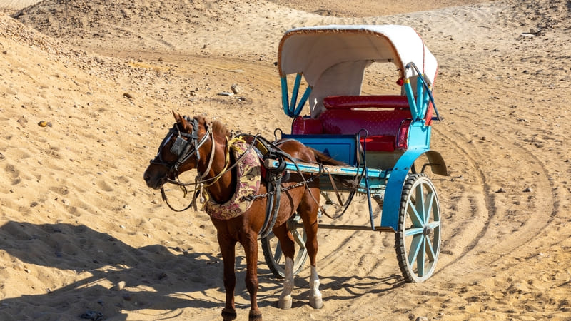 Horse-drawn carriage in a sandy desert