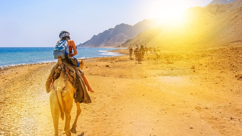 Person riding a camel along the beach at sunset