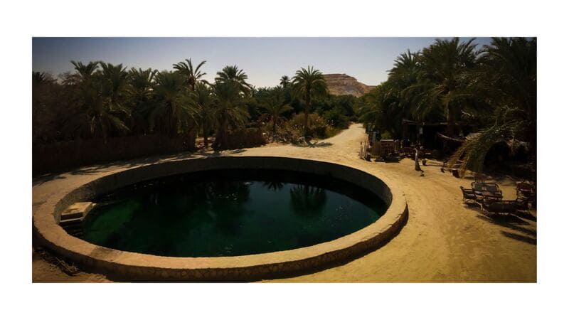 A circular natural spring surrounded by palm trees in a desert oasis