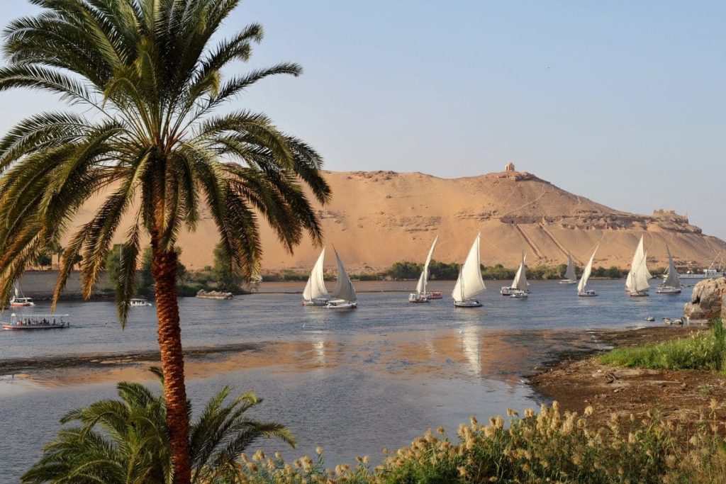 Traditional Egyptian feluccas sailing on the River Nile with a palm tree in the foreground and a sandy hill in the background under a clear blue sky.