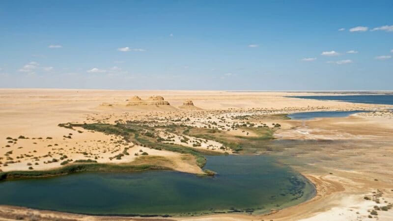 Ancient ruins amidst the lush greenery of Fayoum Oasis, Egypt