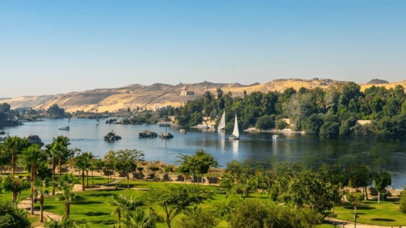 lush oasis by the nile