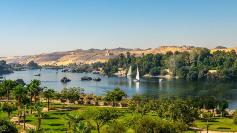 The lush greenery along the banks of the Nile River contrasts with the arid desert landscape in the background.