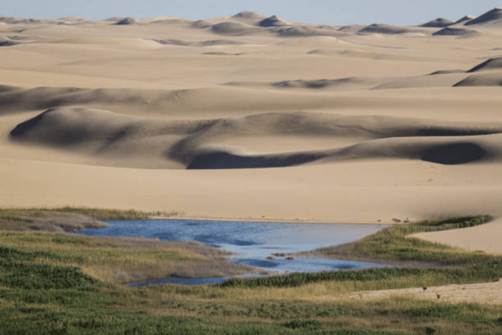 Discover Siwa Oasis