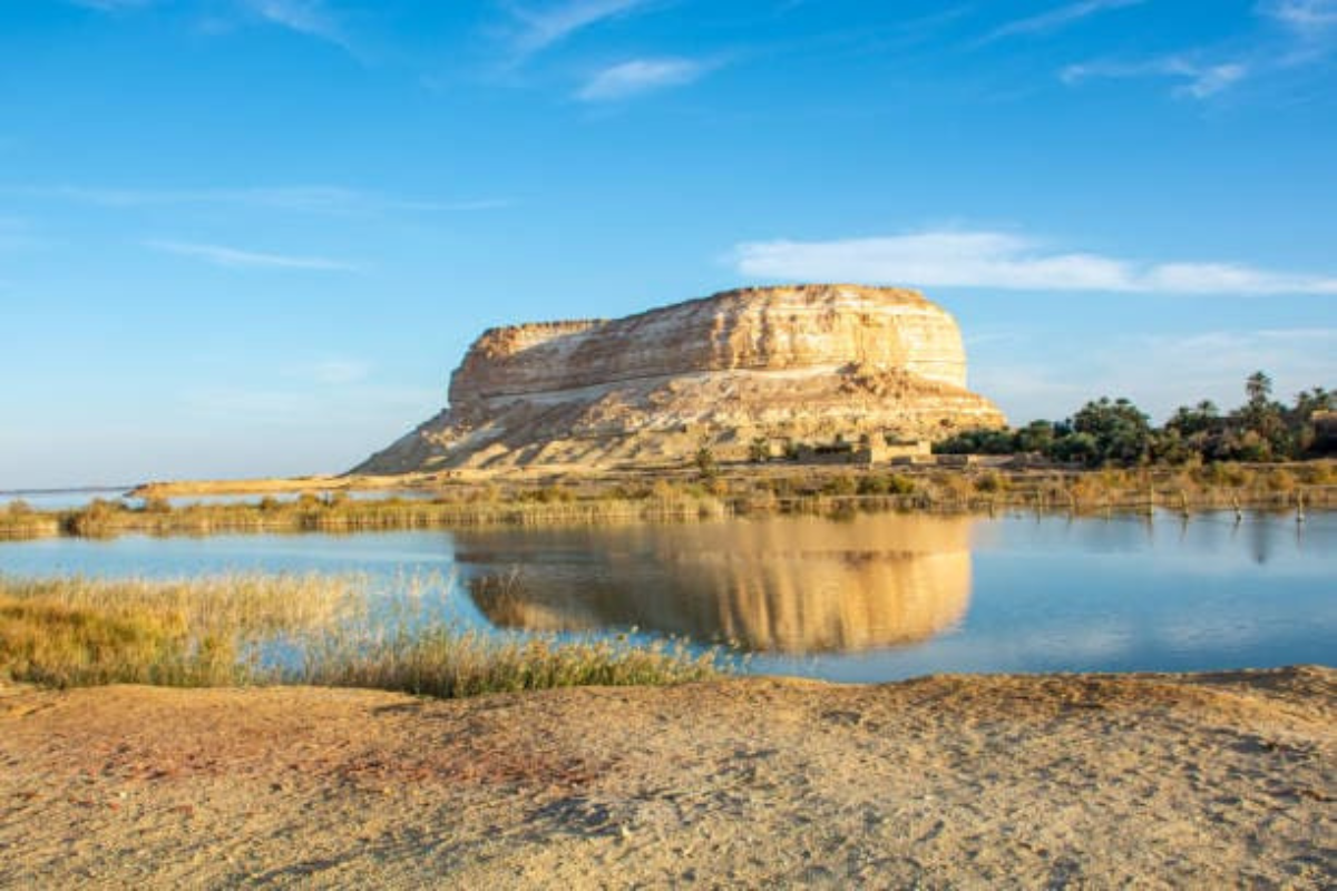 Discover Siwa Oasis