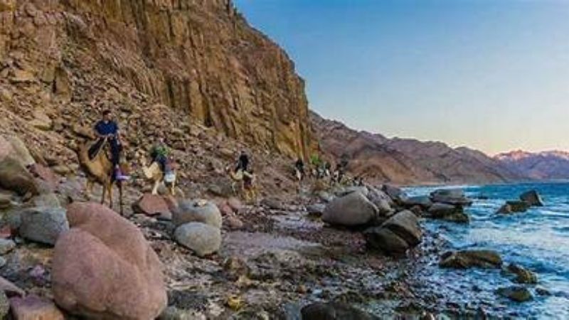 Tourists riding camels along the rocky coastline of the Gulf of Aqaba at sunset, bordered by mountains and the sea.