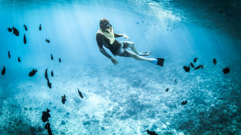 A snorkeler surrounded by tropical fish in crystal-clear blue waters, exploring the vibrant marine life of the Red Sea