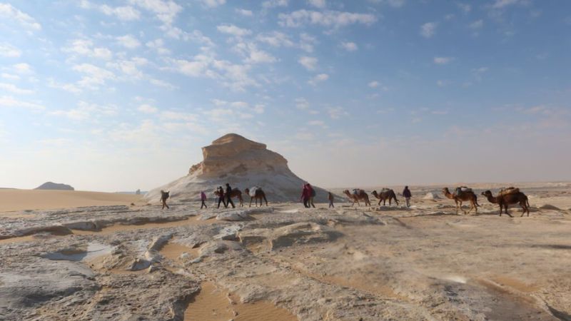 Bahariya Oasis and the Black Desert